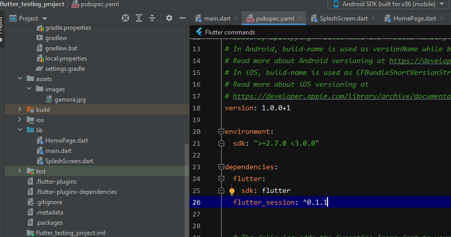 Flutter Session